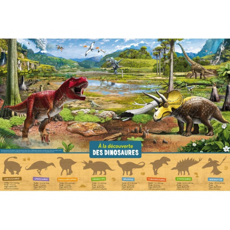 Acheter Coffret A la découverte des dinosaures - E. Ousset et Ples - 19,95 € en ligne sur La Petite Epicerie - Loisirs créatifs