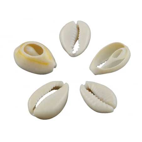 Acheter 10 perles coquillage cauri mélangées naturelles - 5 mm - 0,59 € en ligne sur La Petite Epicerie - Loisirs créatifs