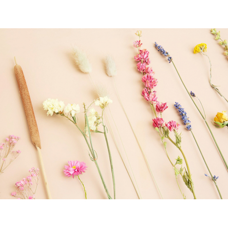 Acheter Fleurs séchées présentées dans un bocal - multicolores - 15,99 € en ligne sur La Petite Epicerie - Loisirs créatifs