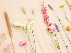 Acheter Mini fiole remplie de fleurs séchées - 6,79 € en ligne sur La Petite Epicerie - Loisirs créatifs