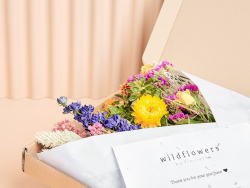 Acheter Bouquet de fleurs séchées - coloris orange - taille large - 25,99 € en ligne sur La Petite Epicerie - Loisirs créatifs