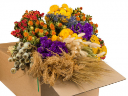 Acheter Bouquet de fleurs séchées - coloris multicolore - taille large - 25,99 € en ligne sur La Petite Epicerie - Loisirs cr...