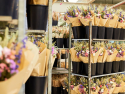 Acheter Bouquet de fleurs séchées - coloris orange - taille large - 25,99 € en ligne sur La Petite Epicerie - Loisirs créatifs