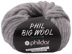 Acheter Laine Phil Big wool - Acier - 11,99 € en ligne sur La Petite Epicerie - Loisirs créatifs