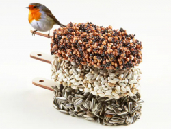 Acheter Desserts graines pour oiseaux - Indian Summer - 14,99 € en ligne sur La Petite Epicerie - Loisirs créatifs