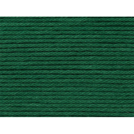 Acheter Pelote Ricorumi coton DK - Vert sapin (50) - 1,19 € en ligne sur La Petite Epicerie - Loisirs créatifs