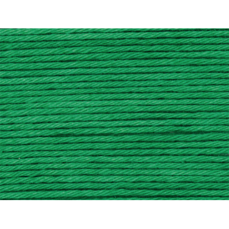 Acheter Pelote Ricorumi coton DK - Vert (49) - 1,09 € en ligne sur La Petite Epicerie - Loisirs créatifs