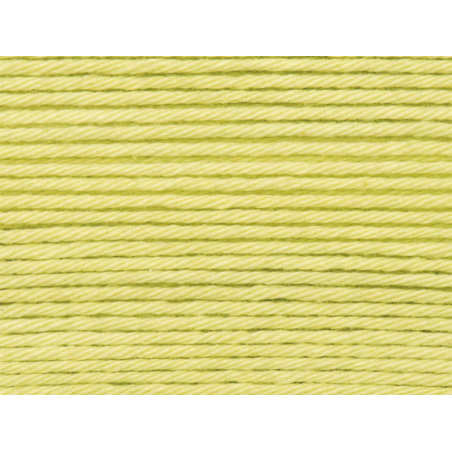 Acheter Pelote Ricorumi coton DK - Vert clair (46) - 1,09 € en ligne sur La Petite Epicerie - Loisirs créatifs