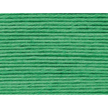 Acheter Pelote Ricorumi coton DK - Vert herbe (44) - 1,09 € en ligne sur La Petite Epicerie - Loisirs créatifs