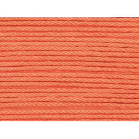 Acheter Pelote Ricorumi coton DK - Smokey Orange (24) - 1,09 € en ligne sur La Petite Epicerie - Loisirs créatifs