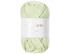 Acheter Pelote Ricorumi coton DK - Vert pastel (45) - 1,09 € en ligne sur La Petite Epicerie - Loisirs créatifs