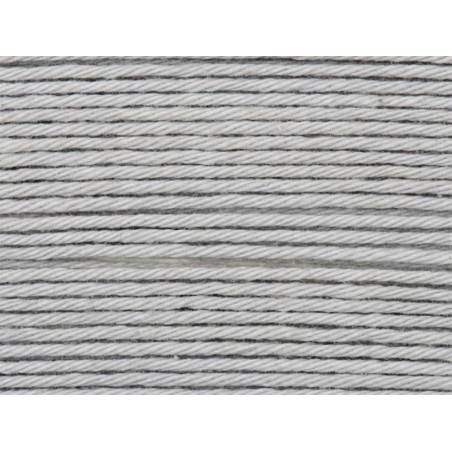 Acheter Pelote Ricorumi coton DK - Gris argenté (58) - 1,19 € en ligne sur La Petite Epicerie - Loisirs créatifs