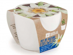 Acheter Pot blanc 8 cm Edelweiss à faire pousser - 5,49 € en ligne sur La Petite Epicerie - Loisirs créatifs