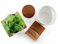 Acheter Pot blanc 8 cm Basilic "grand vert" bio à faire pousser - 5,49 € en ligne sur La Petite Epicerie - Loisirs créatifs