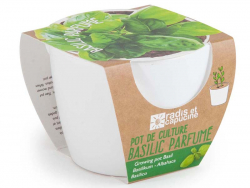 Acheter Pot blanc 8 cm Basilic "grand vert" bio à faire pousser - 5,49 € en ligne sur La Petite Epicerie - Loisirs créatifs