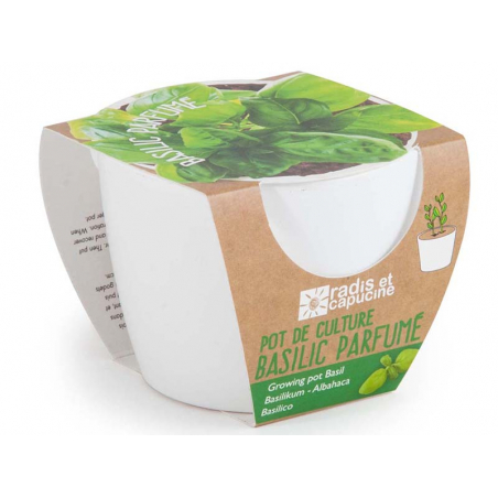 Acheter Pot blanc 8 cm Basilic "grand vert" bio à faire pousser - 5,49 € en ligne sur La Petite Epicerie - Loisirs créatifs
