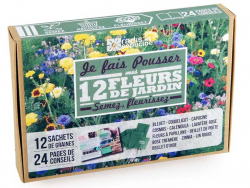 Acheter Coffret 12 sachets fleurs - 14,89 € en ligne sur La Petite Epicerie - Loisirs créatifs