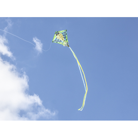 Acheter Cerf-volant Hiboo - 7,49 € en ligne sur La Petite Epicerie - Loisirs créatifs