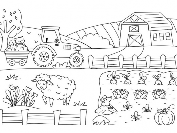 Une ferme heureuse - Livre de coloriage pour enfants - Dessins amusants et  créatifs d'adorables animaux de la ferme (Paperback) 