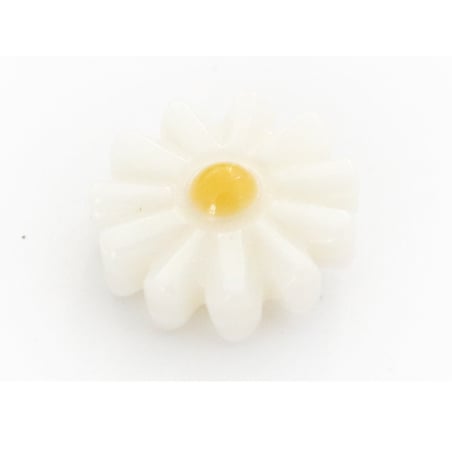 Acheter Perle paquerette en nacre véritable - 10 mm - 1,99 € en ligne sur La Petite Epicerie - Loisirs créatifs