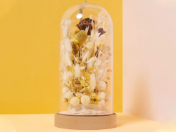 Acheter Bouquet de 10 fleurs séchées de Craspedia - 8,49 € en ligne sur La Petite Epicerie - Loisirs créatifs