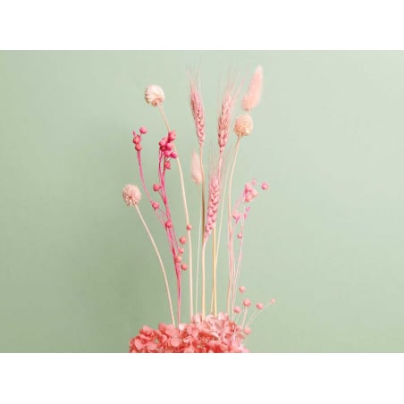 Acheter Bouquet de 50 fleurs séchées de blé rose - 5,99 € en ligne sur La Petite Epicerie - Loisirs créatifs