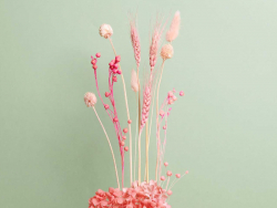 Acheter Bouquet de 6 fleurs séchées de pampa naturelle - 8,99 € en ligne sur La Petite Epicerie - Loisirs créatifs