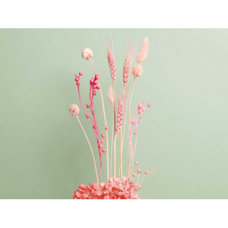 Acheter Bouquet de 6 fleurs séchées de pampa naturelle - 8,99 € en ligne sur La Petite Epicerie - Loisirs créatifs