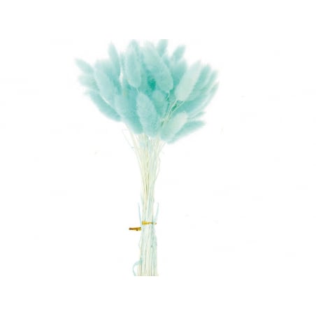 Acheter Bouquet de 50 fleurs séchées Lagurus turquoise - 12,99 € en ligne sur La Petite Epicerie - Loisirs créatifs