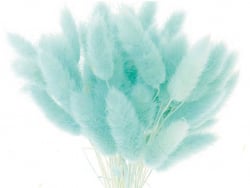 Acheter Bouquet de 50 fleurs séchées Lagurus turquoise - 13,99 € en ligne sur La Petite Epicerie - Loisirs créatifs