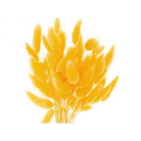 Acheter Bouquet de 50 fleurs séchées Lagurus jaune - 13,99 € en ligne sur La Petite Epicerie - Loisirs créatifs