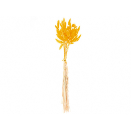 Acheter Bouquet de 50 fleurs séchées Lagurus jaune - 13,99 € en ligne sur La Petite Epicerie - Loisirs créatifs