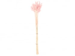 Acheter Bouquet de 50 fleurs séchées Lagurus rose - 13,99 € en ligne sur La Petite Epicerie - Loisirs créatifs