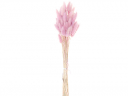 Acheter Bouquet de 50 fleurs séchées Lagurus lilas - 12,99 € en ligne sur La Petite Epicerie - Loisirs créatifs