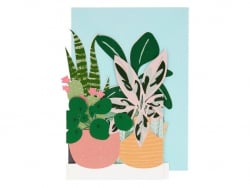 Acheter Carte d'anniversaire dépliante 3D - plantes vertes - 6,49 € en ligne sur La Petite Epicerie - Loisirs créatifs