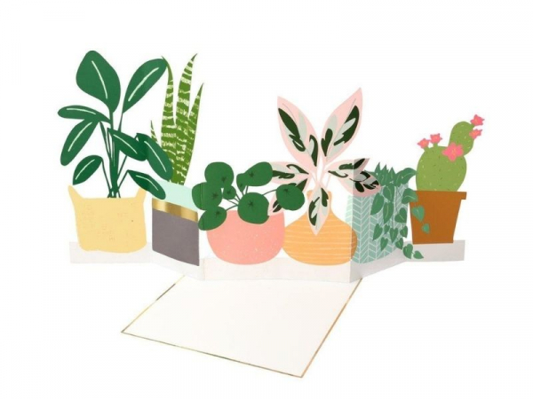 Acheter Carte d'anniversaire dépliante 3D - plantes vertes - 6,99 € en ligne sur La Petite Epicerie - Loisirs créatifs