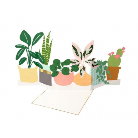 Acheter Carte d'anniversaire dépliante 3D - plantes vertes - 6,99 € en ligne sur La Petite Epicerie - Loisirs créatifs