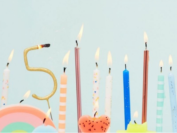 Acheter 16 grandes bougies d'anniversaire dégradé de rose - 10,99 € en ligne sur La Petite Epicerie - Loisirs créatifs