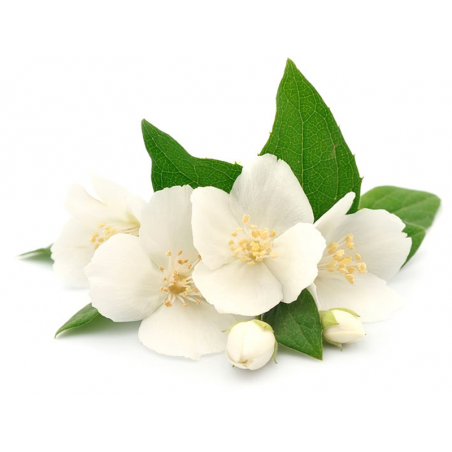 Acheter Senteur / fragrance pour bougie fleurs des îles - 27 ml - 6,69 € en ligne sur La Petite Epicerie - Loisirs créatifs