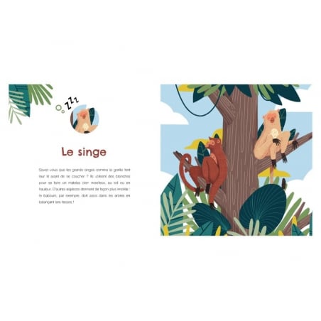 Acheter Livre jeunesse - Le curieux sommeil des animaux - 14,00 € en ligne sur La Petite Epicerie - Loisirs créatifs