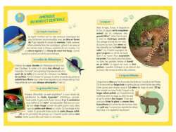 Acheter Coffret Auzou - À la découverte des animaux du monde - 19,95 € en ligne sur La Petite Epicerie - Loisirs créatifs