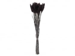 Acheter Bouquet de 50 fleurs séchées Lagurus noires - 12,99 € en ligne sur La Petite Epicerie - Loisirs créatifs