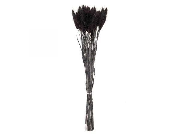 Acheter Bouquet de 50 fleurs séchées Lagurus noires - 13,99 € en ligne sur La Petite Epicerie - Loisirs créatifs