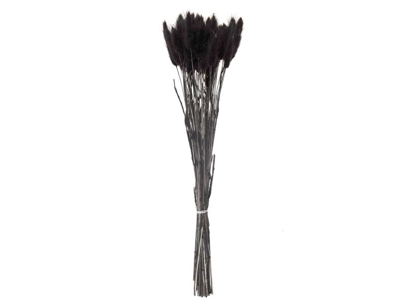 Acheter Bouquet de 50 fleurs séchées Lagurus noires - 13,99 € en ligne sur La Petite Epicerie - Loisirs créatifs