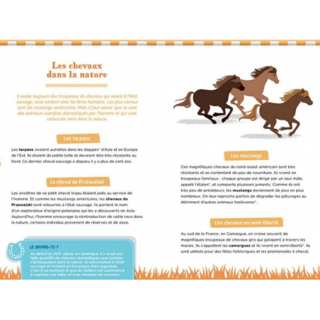 Acheter Coffret Auzou - À la découverte des chevaux - 19,95 € en ligne sur La Petite Epicerie - Loisirs créatifs
