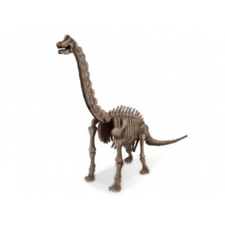 Acheter Kit DAM- Déterre ton dinosaure - Brachiosaure - 15,99 € en ligne sur La Petite Epicerie - Loisirs créatifs