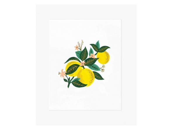 Acheter Affiche 20 x 25 cm - Fleur de citronnier - Rifle Paper Co - 21,32 € en ligne sur La Petite Epicerie - Loisirs créatifs