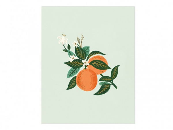 Acheter Affiche 20 x 25 cm - Fleurs d'oranger - Rifle Paper Co - 21,32 € en ligne sur La Petite Epicerie - Loisirs créatifs