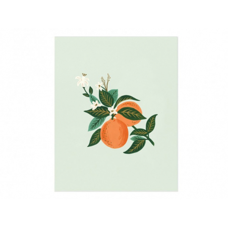 Acheter Affiche 20 x 25 cm - Fleurs d'oranger - Rifle Paper Co - 21,32 € en ligne sur La Petite Epicerie - Loisirs créatifs