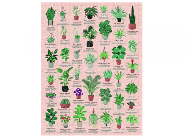 Acheter Puzzle House Plants - 1000 pièces - 55 x 70 cm - 24,99 € en ligne sur La Petite Epicerie - Loisirs créatifs